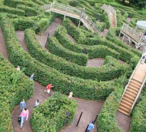 Treasure Hunt & Hedged Maze